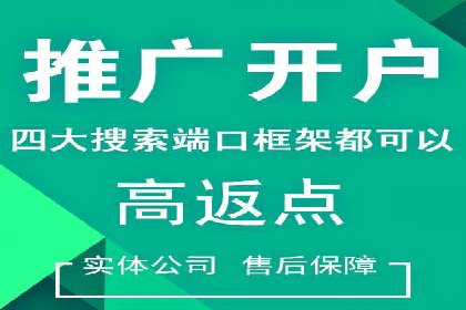 成功案例：一家初创企业如何通过百度关键词推广快速崛起